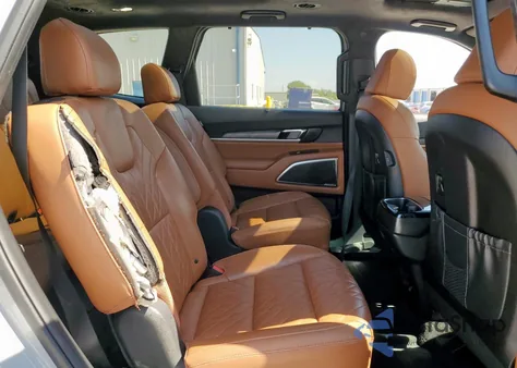 2024 Kia Telluride Sx from USA, damaged, VIN 5XYP5DGC6RG489826